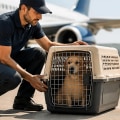 Understanding Pet Relocation Services in the Context of Relocation Services